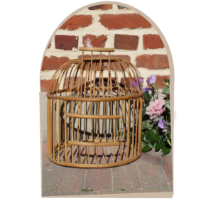 Cage oiseau en location