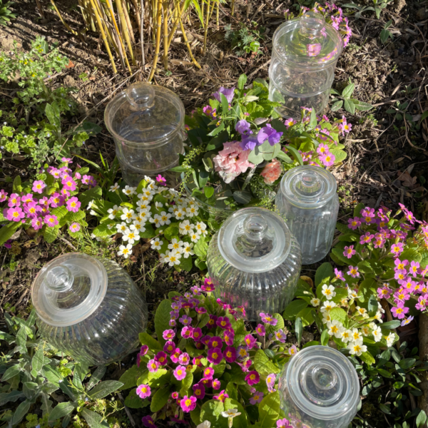 Lot de 5 bonbonnières en verre – Image 3